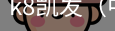 k8凯发